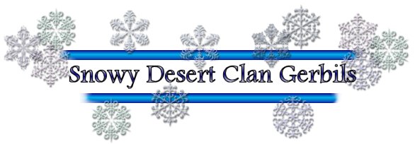 Snowy Desert Clan Gerbils