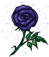 Magical Blue Rose