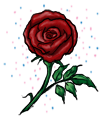 Magical Red Rose