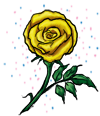 Magical Yellow Rose