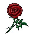 Red Rose