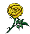 Yellow Rose