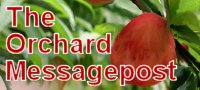The Orchard Messagepost