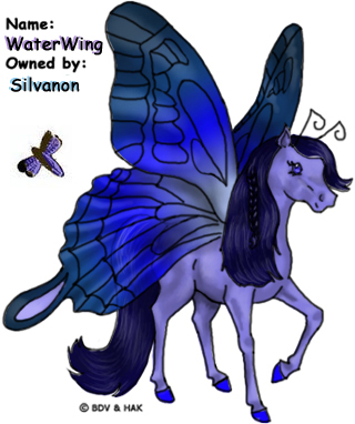 WaterWing