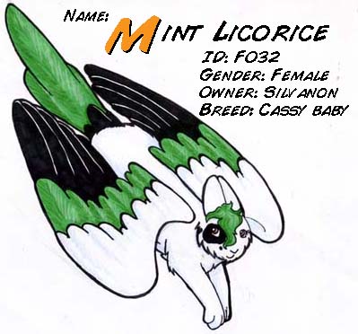 Mint Licorice