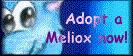 Meliox Adoptions